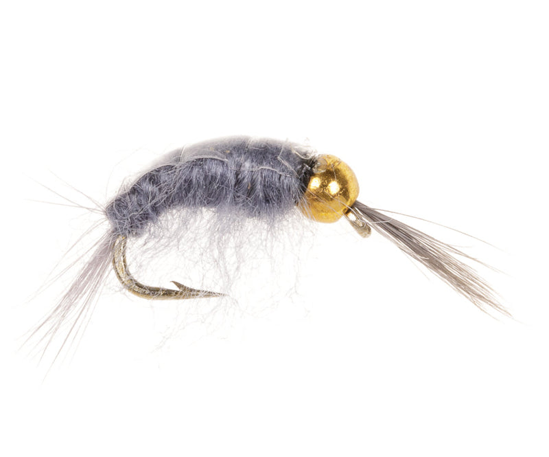 BEADHEAD FLY GREY SCUD BH