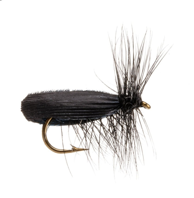 CADDIS/SEDGE FLY BLACK ROOFWING SEDGE