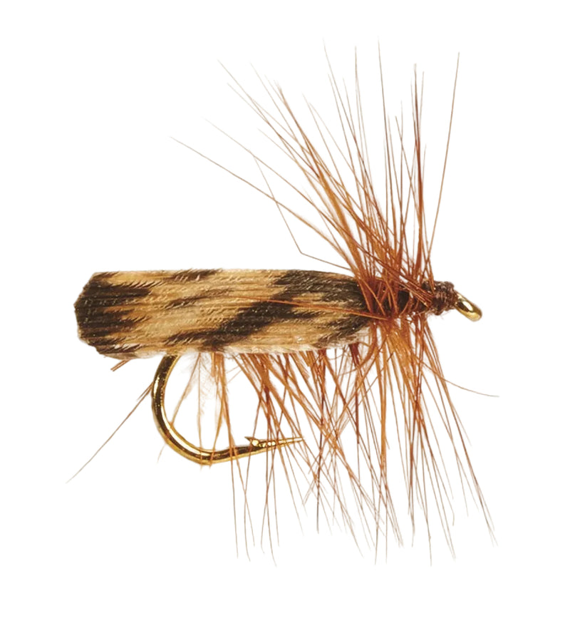 CADDIS/SEDGE FLY BROWN ROOF WING SEDGE