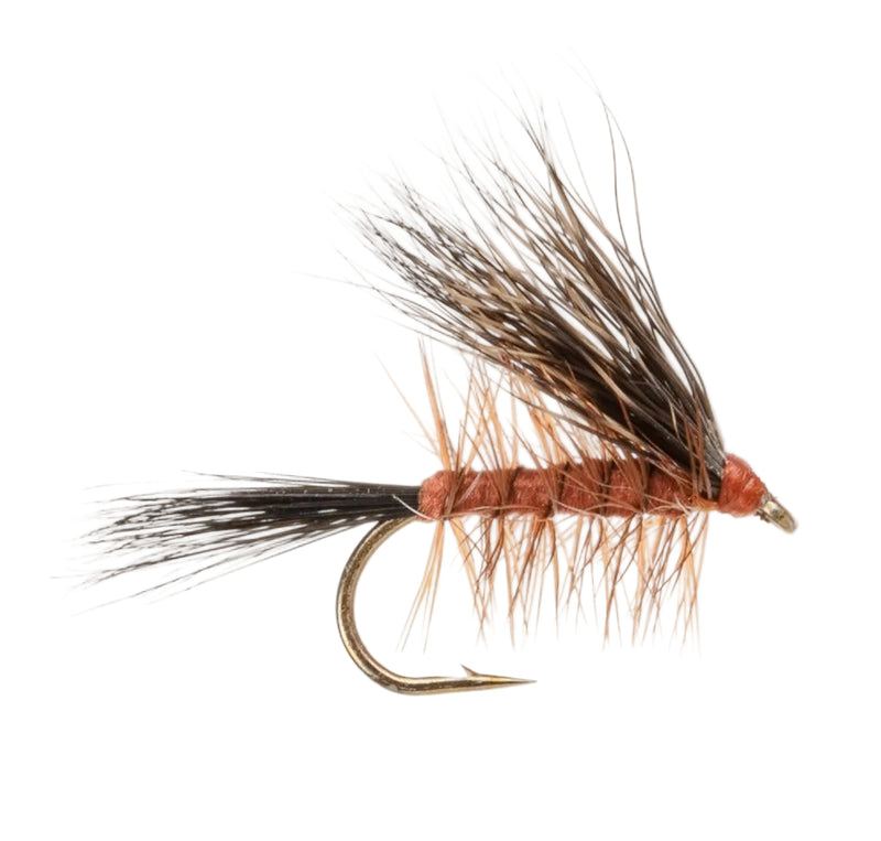 CADDIS/SEDGE FLY BUCK CADDIS DARK