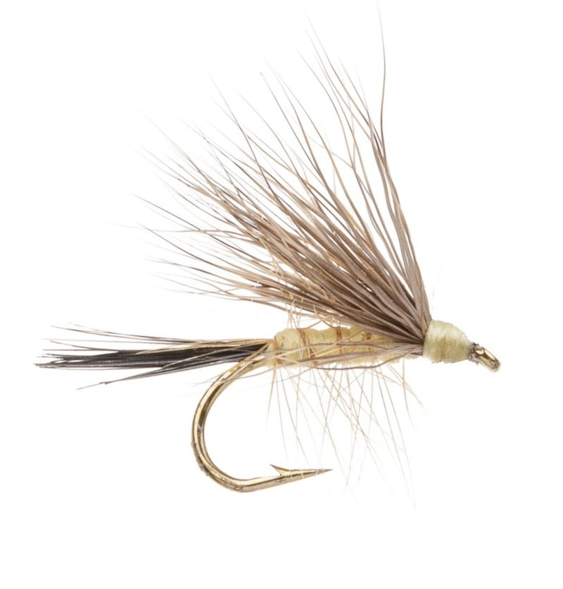 CADDIS/SEDGE FLY BUCK CADDIS LIGHT