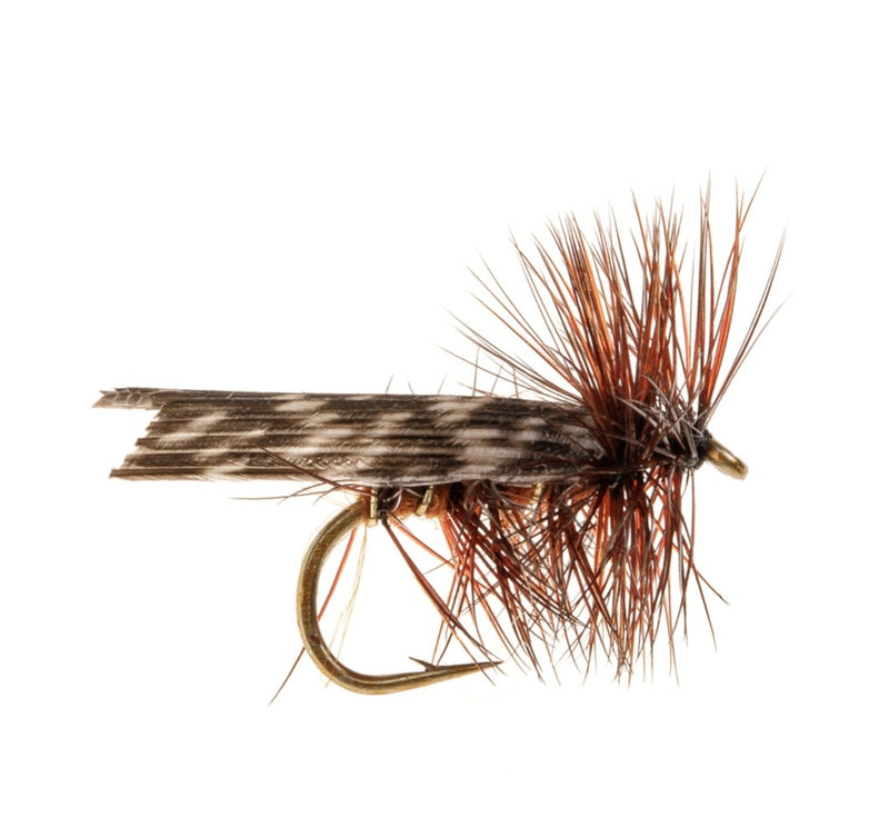 CADDIS/SEDGE FLY BROWN SEDGE