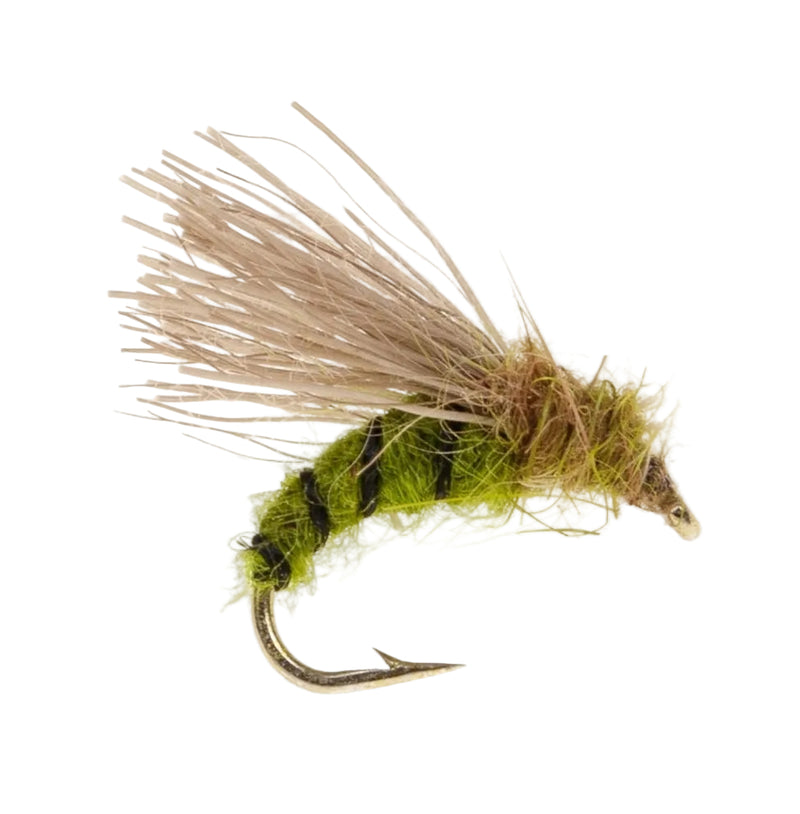 CADDIS/SEDGE FLY SERENDIPITY OLIVE CADDIS