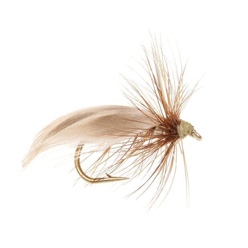 CADDIS/SEDGE FLY EUROPE 12