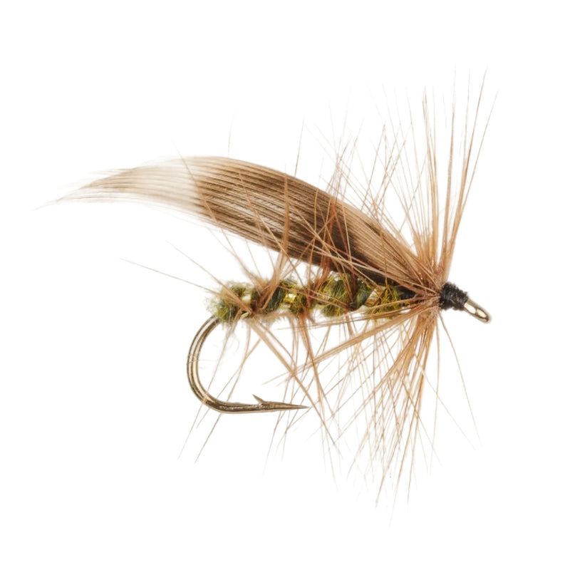 CADDIS/SEDGE FLY GREEN PETER