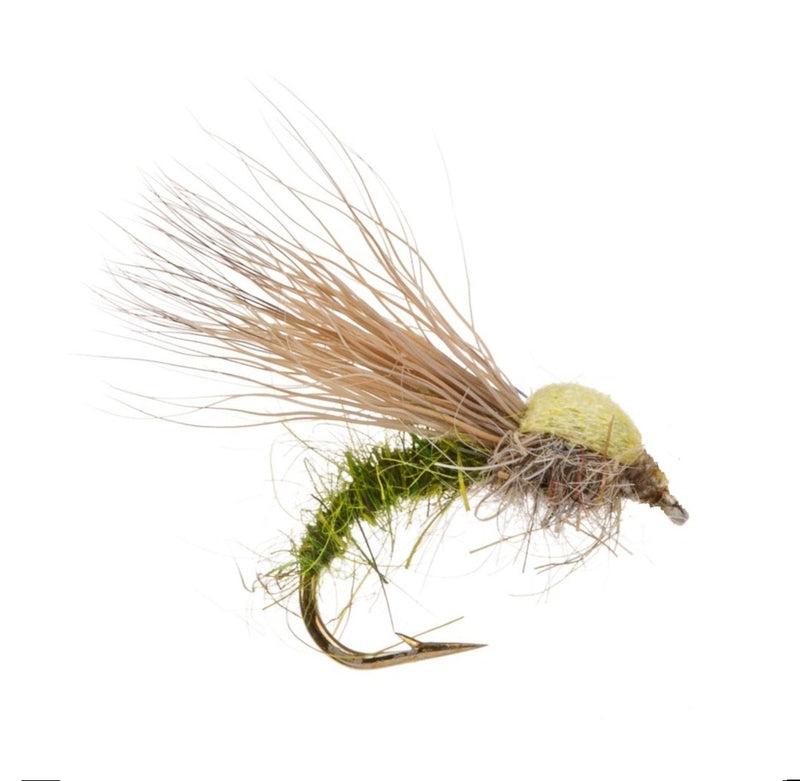 CADDIS/SEDGE FLY BALLOON CADDIS