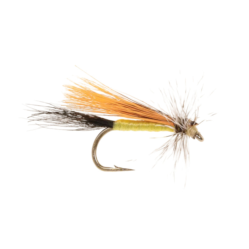 CADDIS/SEDGE FLY ELKHAIR YELLOW SALLY