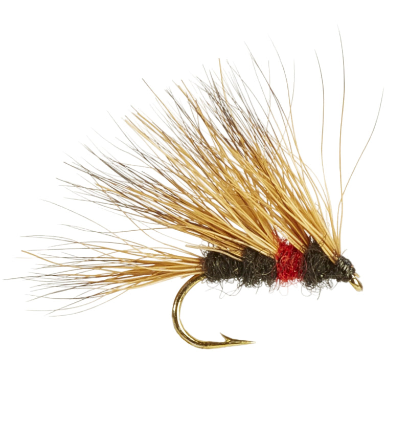 CADDIS/SEDGE FLY SEDGEHOG BIBIO