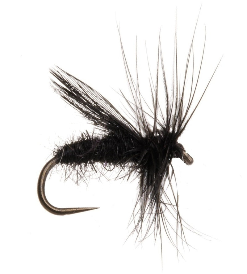 CADDIS/SEDGE FLY BLACK SEDGE