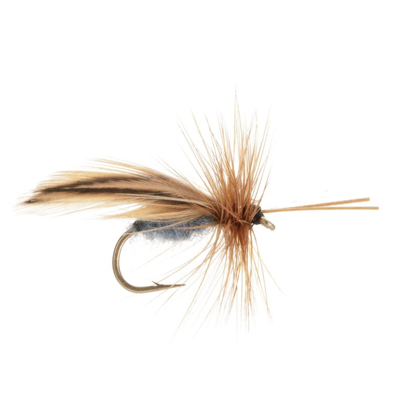 CADDIS/SEDGE FLY WELSH BUTTON