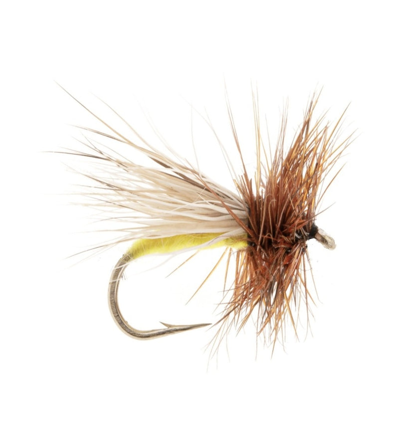 CADDIS/SEDGE FLY YELLOW SALLY CADDIS