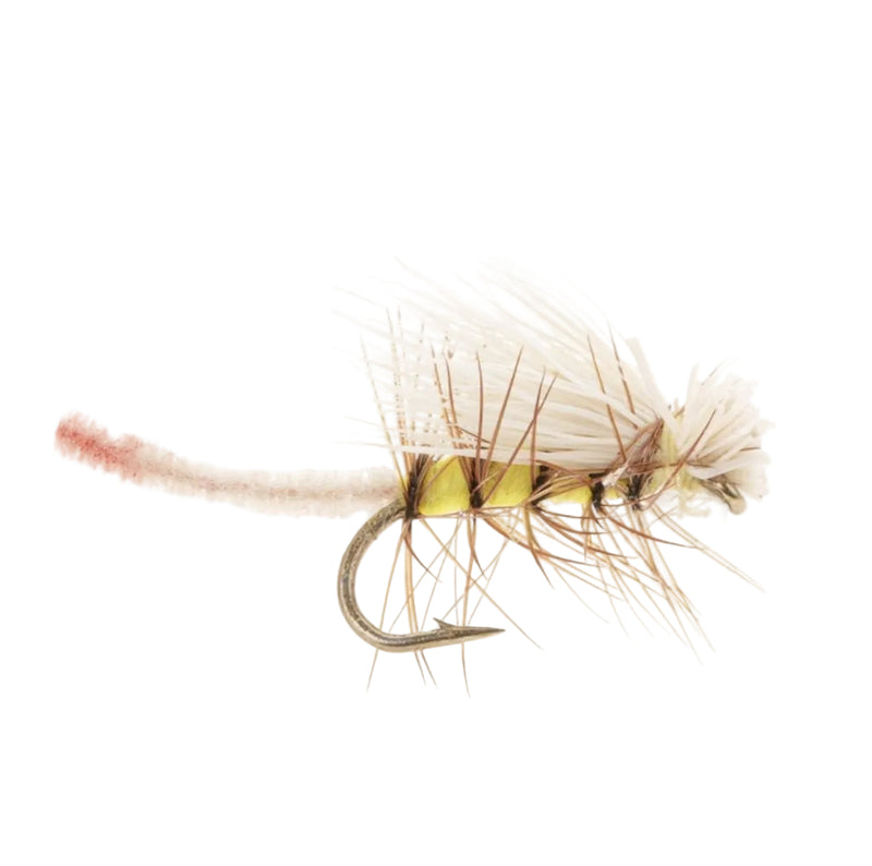 CADDIS/SEDGE FLY LI'L YELLOW STONEFLY