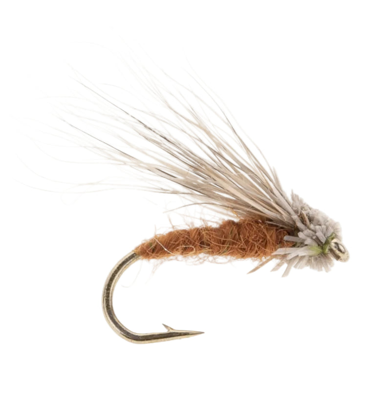 CADDIS/SEDGE FLY STREAKING CADDIS