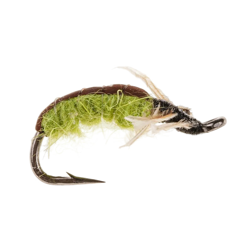 CADDIS/SEDGE FLY CRAWLING CADDIS OLIVE