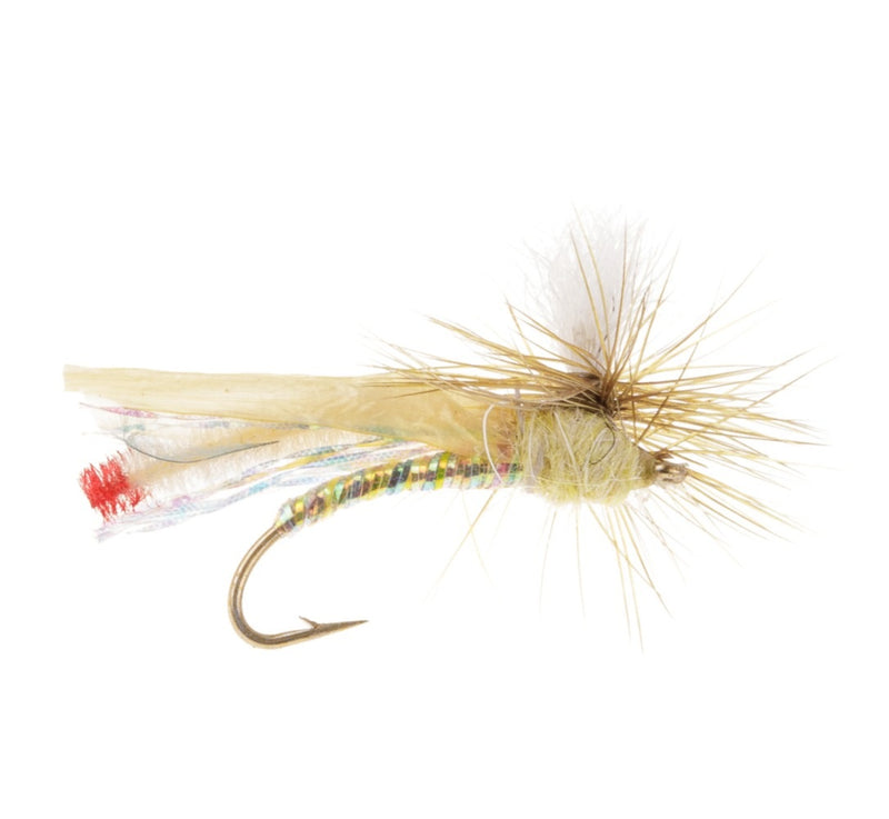 CADDIS/SEDGE FLY YELLOW SALLY HEADLIGHT