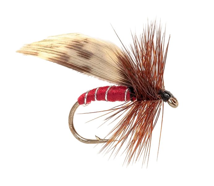 CADDIS/SEDGE FLY RED SEDGE