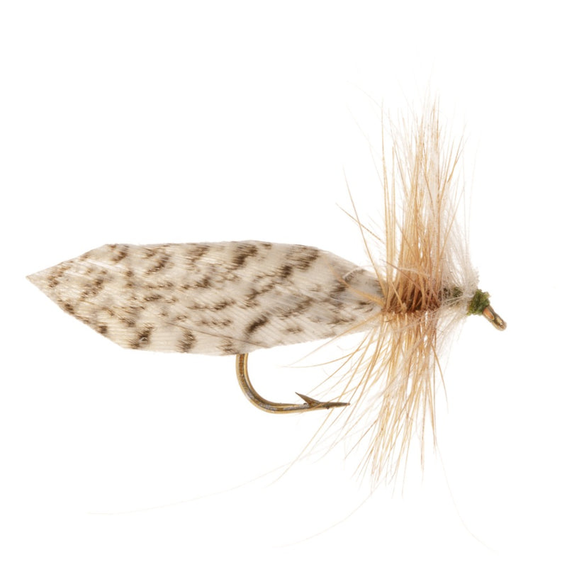 CADDIS/SEDGE FLY TAPE WING CDC CADDIS