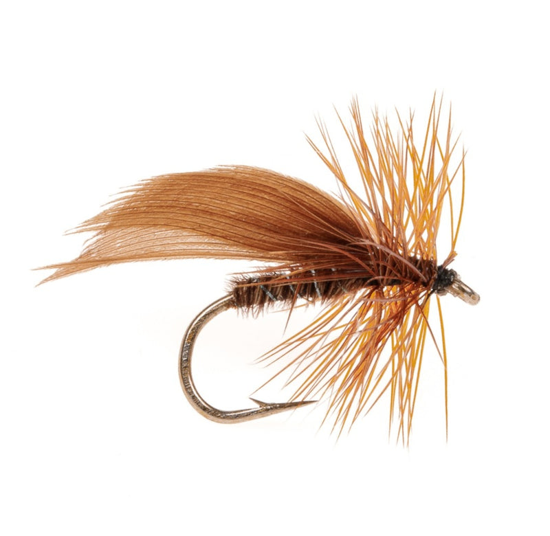 CADDIS/SEDGE FLY CINNAMON SEDGE