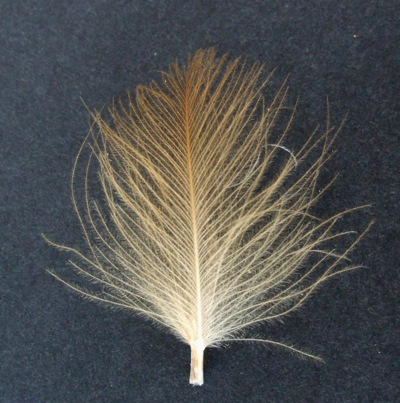CUL DE CANARD (CDC) PACKET FLY TYING FEATHERS