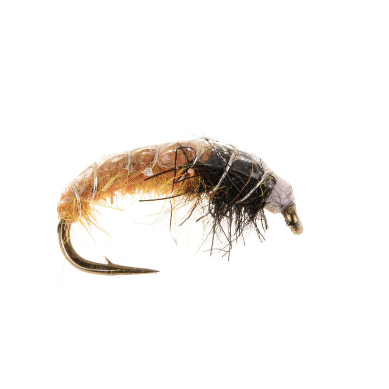 CZECH NYMPH FLY AMBER