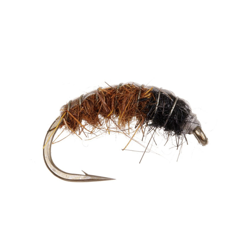 CZECH NYMPH FLY BROWN