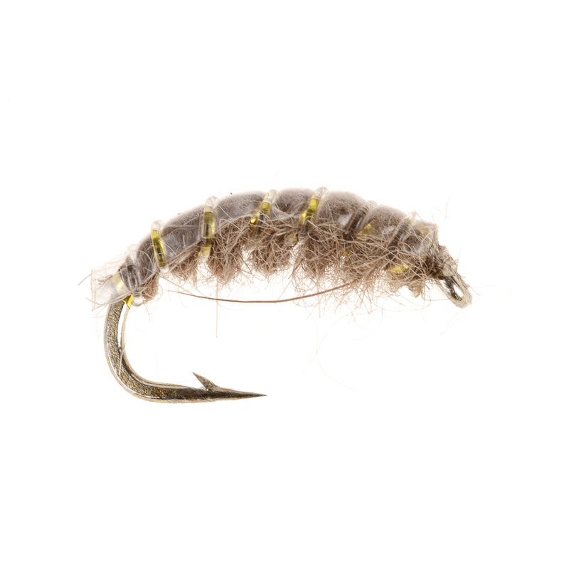 CZECH NYMPH FLY DARK BROWN