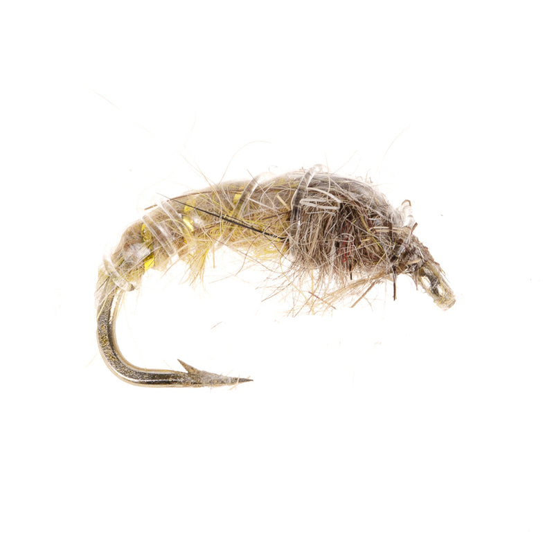 CZECH NYMPH FLY LIGHT OLIVE HARES EAR HEAD