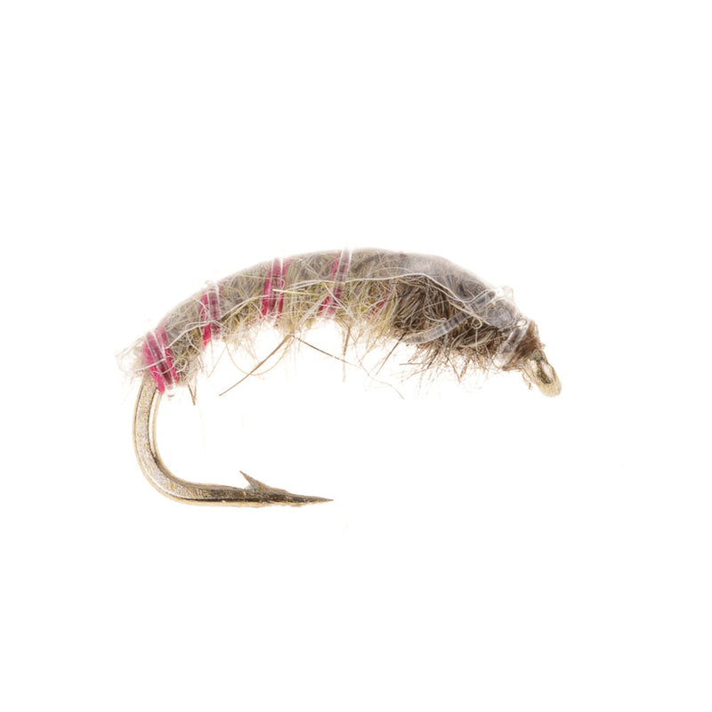 CZECH NYMPH FLY HARES EAR RED RIB