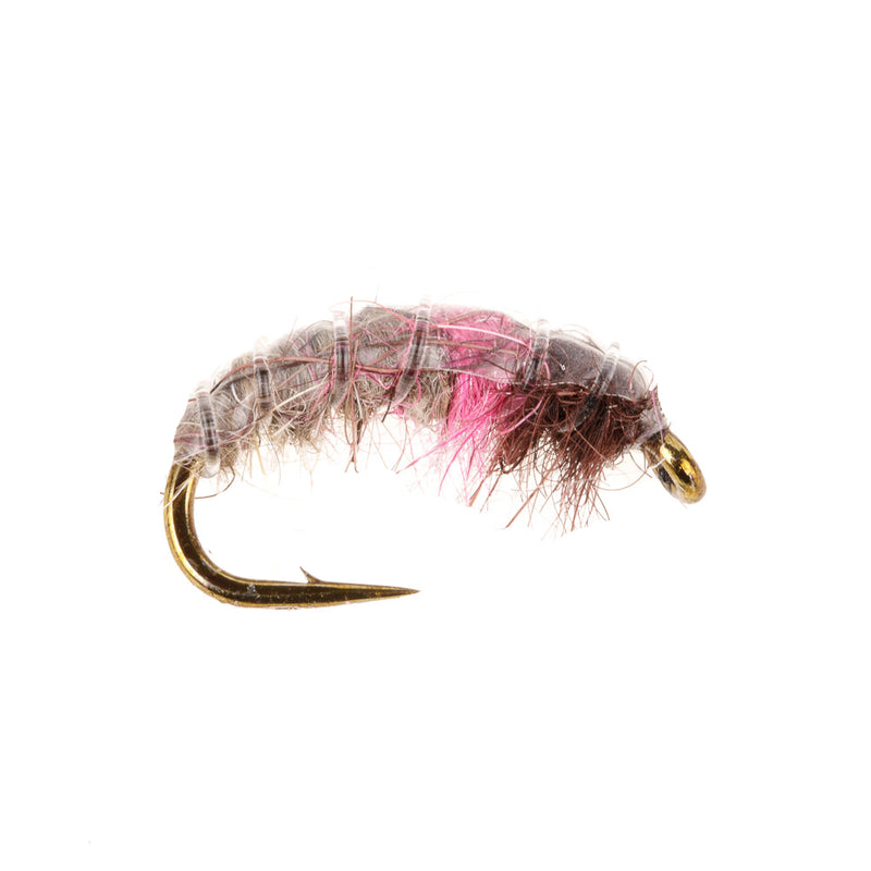 CZECH NYMPH FLY GREY PINK HEAD