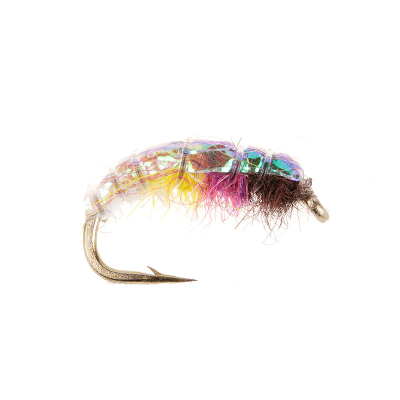 CZECH NYMPH FLY RAINBOW