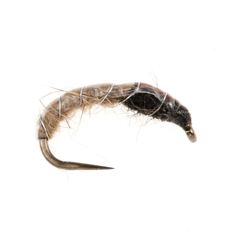 CZECH NYMPH FLY SLIM LINE CZECH NYMPH HE & ORANGE