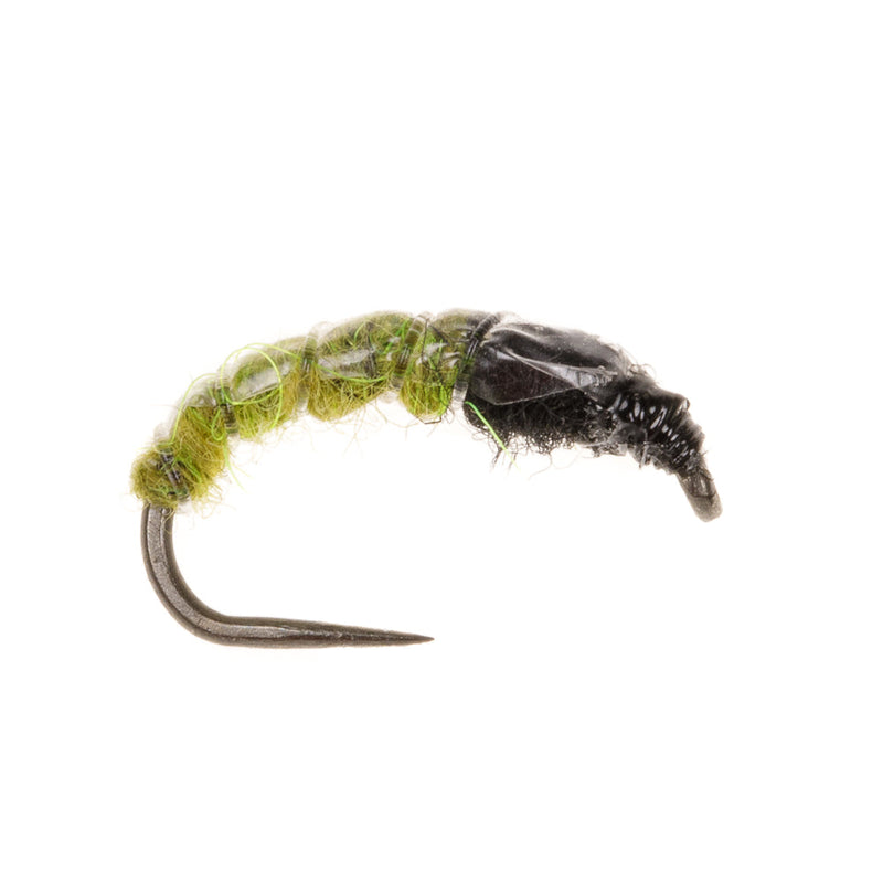 CZECH NYMPH BARBLESS FLY SLIM LINE CZECH NYMPH LIGHT OLIVE & BLACK