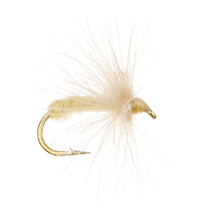 CUL DE CANARD FLY DUN-PALE WATERY