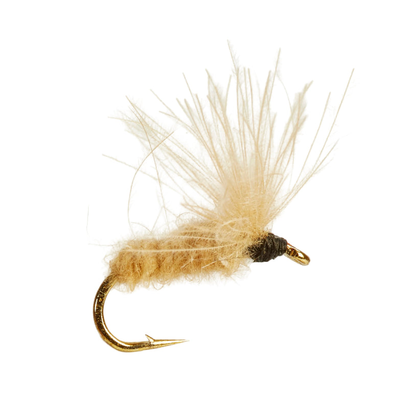CUL DE CANARD FLY IMAGO-BUZZER