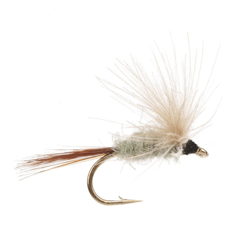 CUL DE CANARD FLY IMAGO-SANDY DUN