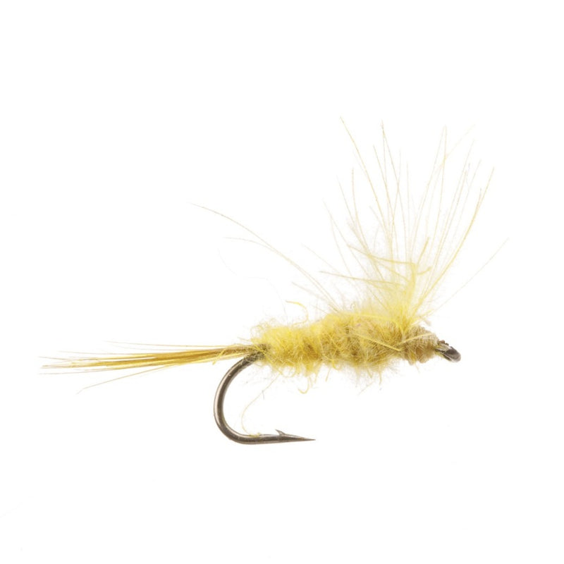 CUL DE CANARD FLY IMAGO-YELLOW MAY