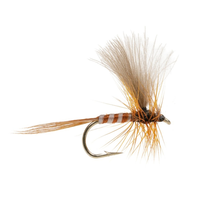 CUL DE CANARD FLY CDC THORAX PEACOCK BROWN