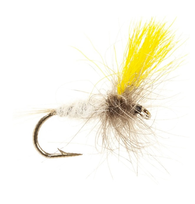 CUL DE CANARD FLY CDC YELLOW PERIL