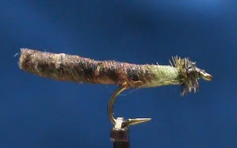 TUBE BODY CADDIS PUPA