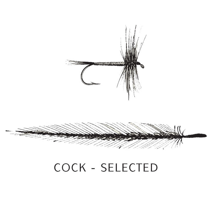 HACKLES COCK SELECT FLY TYING FEATHERS