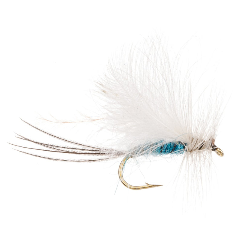 DAMSEL FLY DRY MALE
