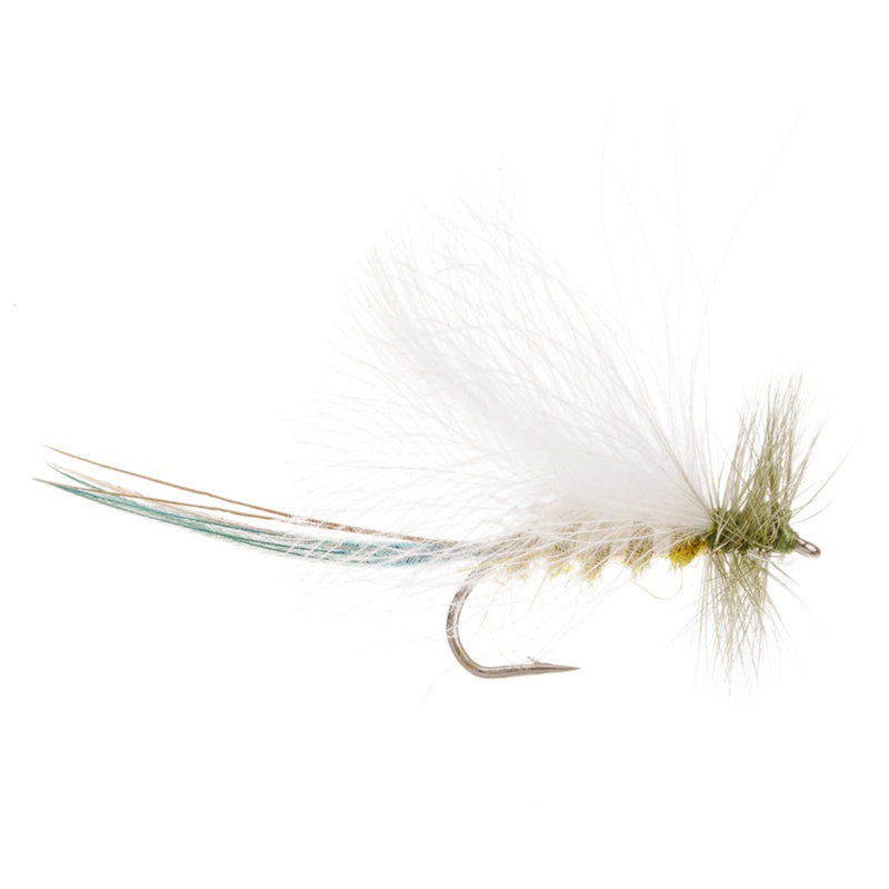 DAMSEL FLY DRY FEMALE