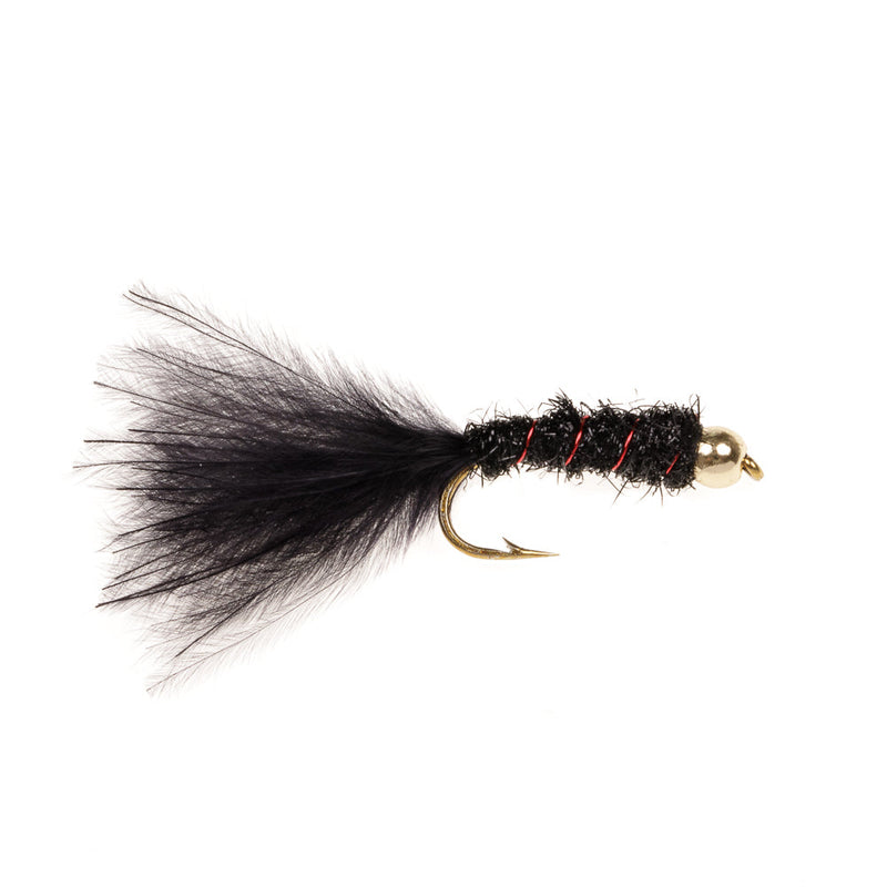 DAMSEL FLY DAMSEL BLACK