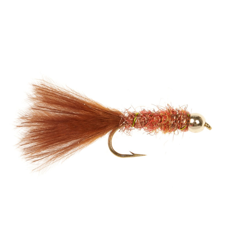 DAMSEL FLY DAMSEL FIERY BROWN