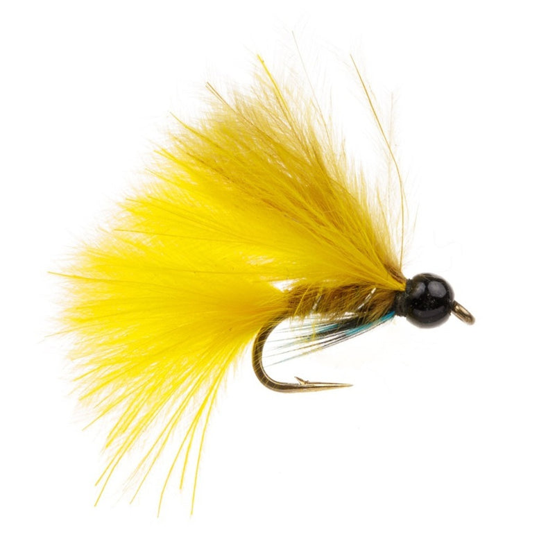 DAMSEL FLY DAWSON'S OLIVE