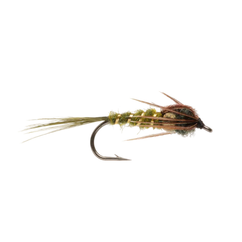 DAMSEL FLY DEMOISELLE