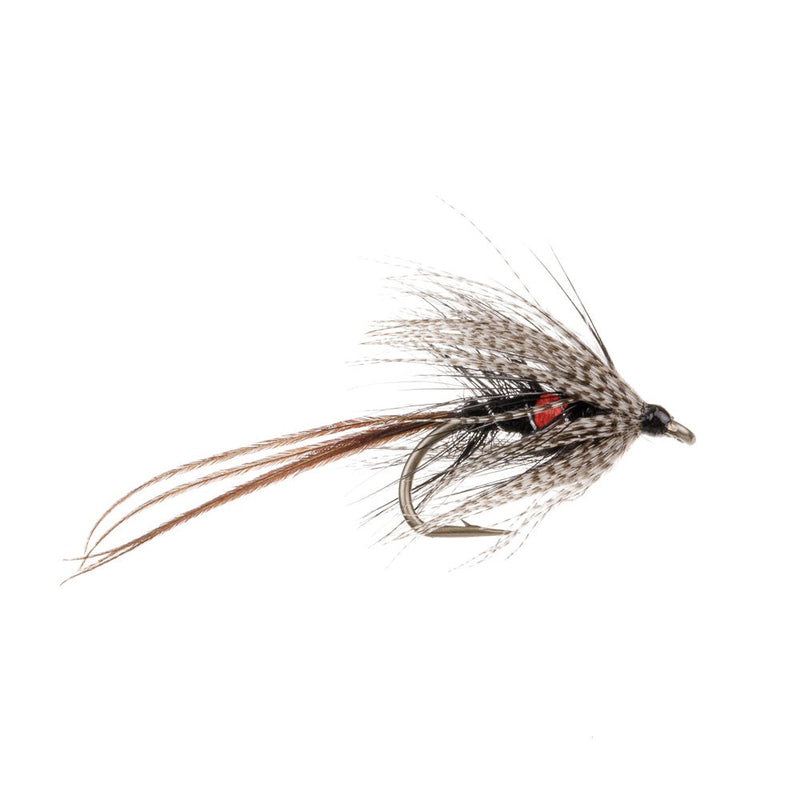 DABBLER FLY BIBIO