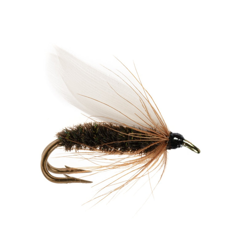 TROUT DOUBLE FLY COACHMAN