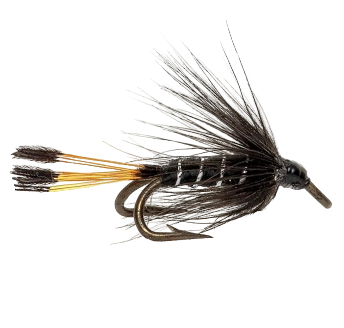 TROUT DOUBLE FLY BLACK PENNEL