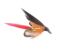 TROUT DOUBLE FLY BLOODY BUTCHER